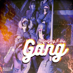 RoGeeGang - Gang (Explicit)