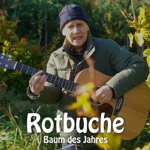 Rotbuche, Baum des Jahres