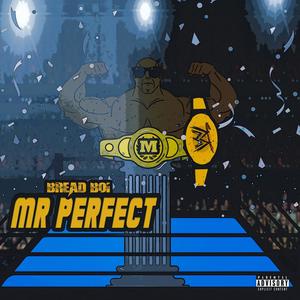 Mr.Perfect (Explicit)