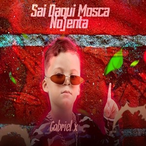 sai daqui mosca nojenta