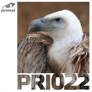 Butterfly (DJ Bonus Remix)