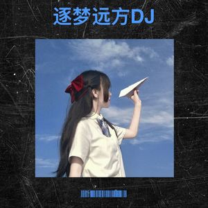 逐梦远方DJ