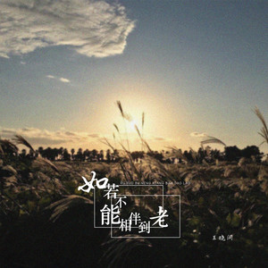 王晓闫 - 如若不能相伴到老 (伴奏)