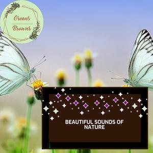 Beautiful Sounds of Nature