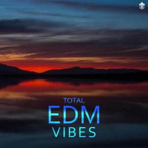 Far Away(feat. Hikaru Station) (Misael Gauna Remix)