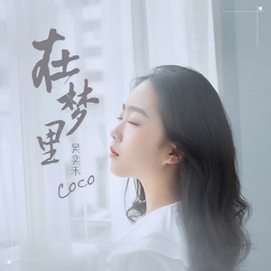 在梦里
