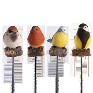 BIRDZ (feat. evay!) (Explicit)