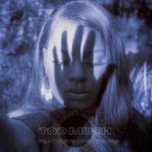 Too Much(feat. Keys Open Doors)