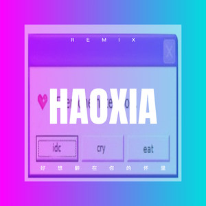 好想醉在你的怀里 (DJ版)