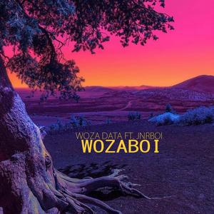 WozaBoi (feat. JnrBoi)