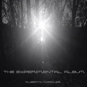 The Experimental Album