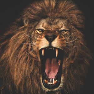 Can't Do A Thing To Me