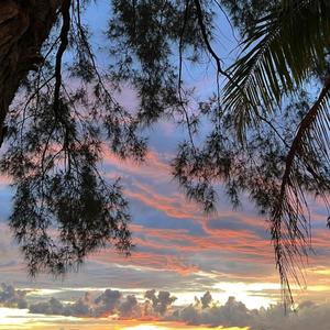 冷夜（古筝曲）-轻音乐BGM