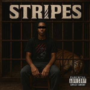 Stripes (Explicit)