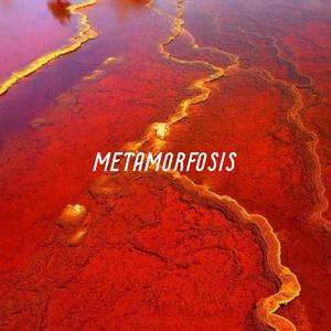 Metamorfosis (Explicit)