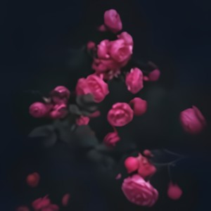 九百九十九朵玫瑰 (伴奏)