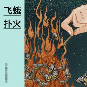 飞蛾扑火