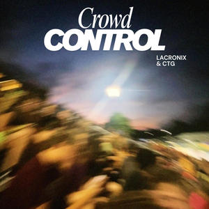 Crowd Control (Brick by Brick)