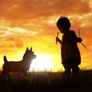 孩子们向往的地方