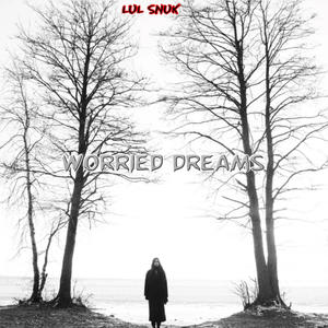 Lul Snuk - Worried dreams (Explicit)