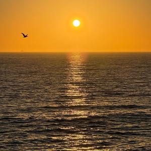 Speedboat California