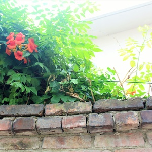 여름방학 (暑假)