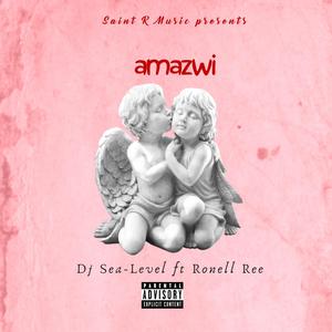 Amazwi(feat. Dj Sea-Level) (Radio Edit)