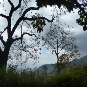 Kodo Fulyo Barima (Explicit)