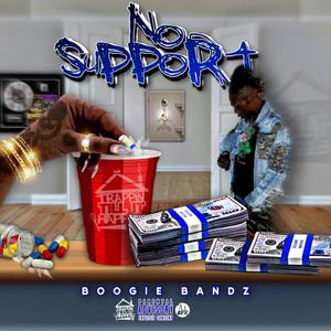 No Support (Explicit)