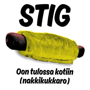Oon tulossa kotiin(Nakkikukkaro)