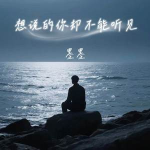 想说的你却不能听见