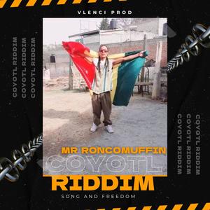 Sound And Freedom (Mr Roncomuffin|Coyotl Riddim)