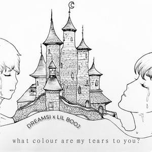 What Colour Are My Tears To You? (feat. lil booj)