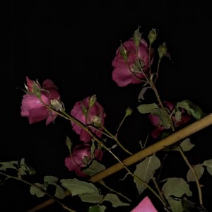 自成一派 (伴奏)