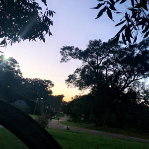 Gotta Blast (feat. BheeOsama) (Explicit)