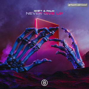 Never Give Up (Extended Mix)