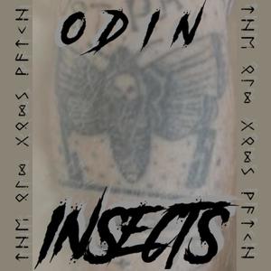 Insects (Explicit)
