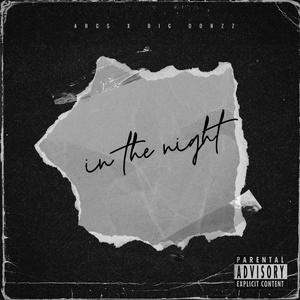 In The Night (feat. Big Donzz)