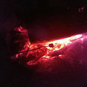 Let me be part of your universe