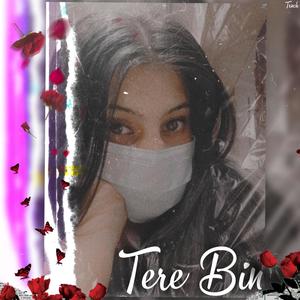 Tere Bin