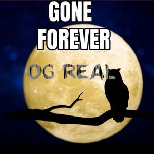 Gone Forever (Explicit)