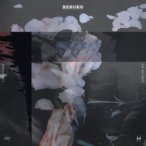Reborn