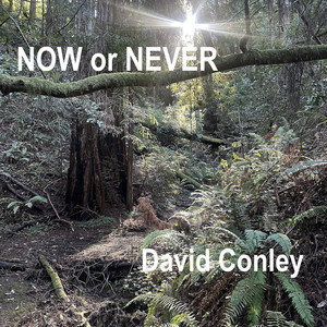 Now or Never
