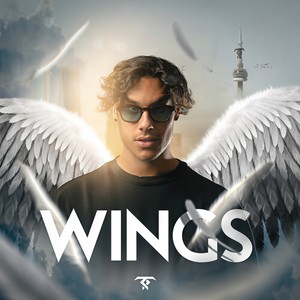 Wings