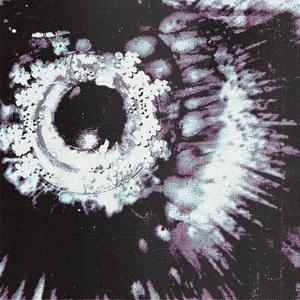 DROP555 desordenado por NECROBYTE