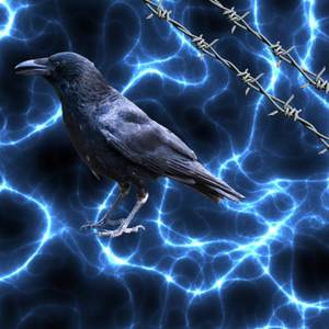 You Don't Even Know?