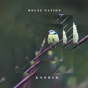 House Nation