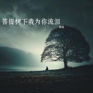 菩提树下我为你流泪