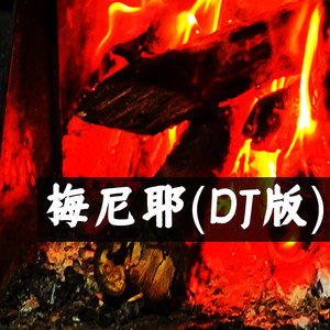 梅尼耶 (DJ版)