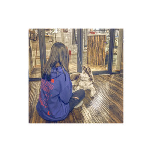不枉